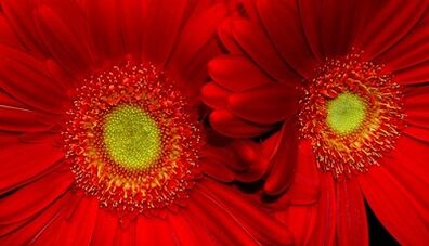 طرق لتحسين الاهتمام