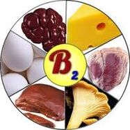فيتامينات B2 B2 للدماغ